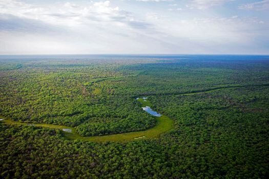Este es el Parque Nacional El Impenetrable es la nueva frontera caliente de la deforestación en la Argentina.