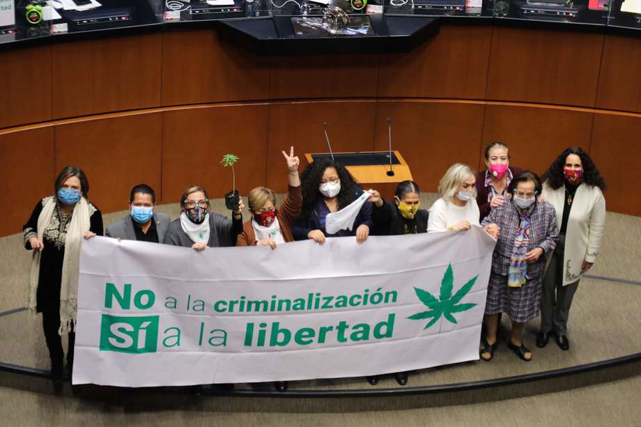 Un grupo de senadores mexicanos celebra la aprobación del uso lúdico de la marihuana en el debate de ayer.