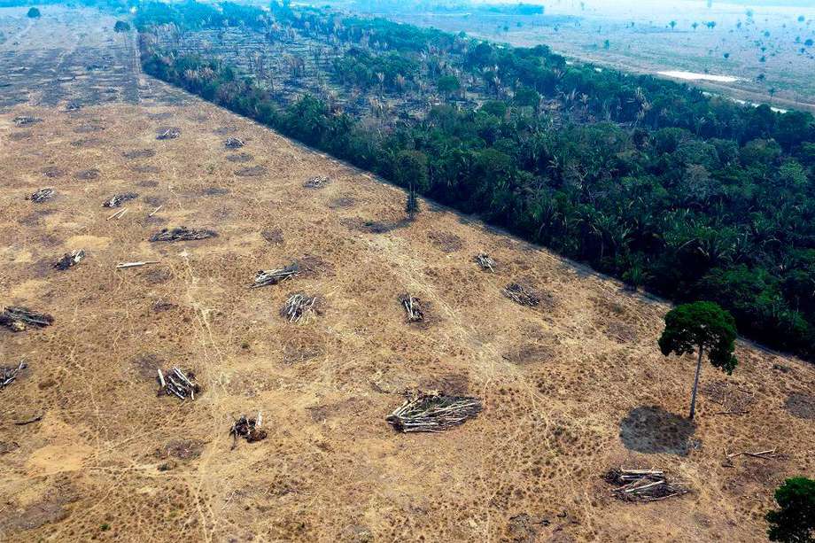 La acumulación de perturbaciones en el bosque (como la quema y la tala) provocan la degradación del Amazonas, que entre 1992 y 2014 superó la deforestación en cuanto a superficie afectada. / AFP / Carlos FABAL
