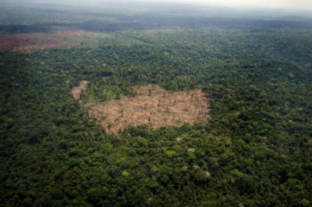 Hasta el 20 de agosto los colombianos podrán dar sus ideas para mitigar la deforestación del país 