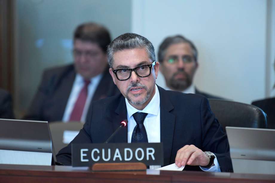 El viceministro de Movilidad Humana de Ecuador, Alejandro Dávalos, habla durante una reunión del Consejo Permanente de la Organización de los Estados Americanos (OEA) celebrada este martes en la sede del organismo en Washington (Estados Unidos). 