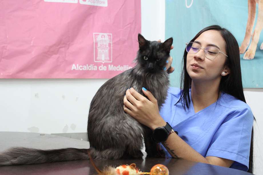 Pie de foto: Medellín rompió sus récords de rescate, esterilización y adopción de más de 70.000 animales.