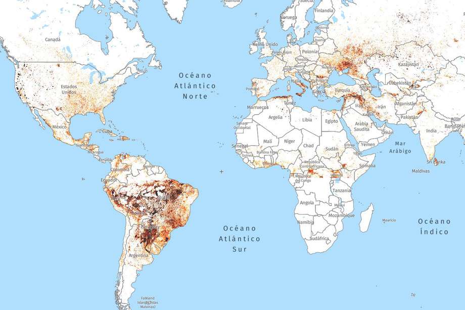 Imágen tomada el 24 de septiembre de 2020 de Global Forest Watch, una aplicación web de código abierto para monitorear bosques globales en tiempo casi real.
