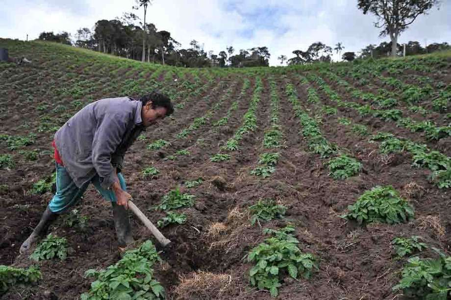 Se estima que los tres millones de hectáreas tengan un precio de 60 billones de pesos, según el presidente Gustavo Petro.