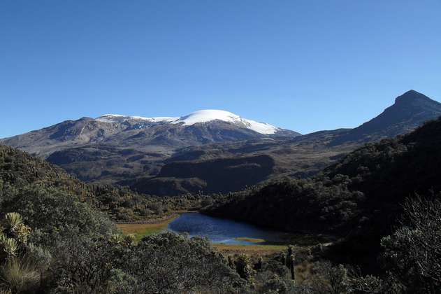 Parque Nacional Natural Los Nevados: más que nieves perpetuas