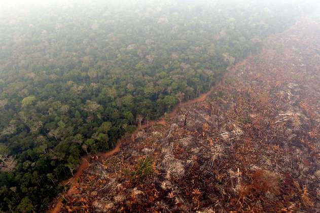 La deforestación en la Amazonia está influyendo el clima en Tíbet