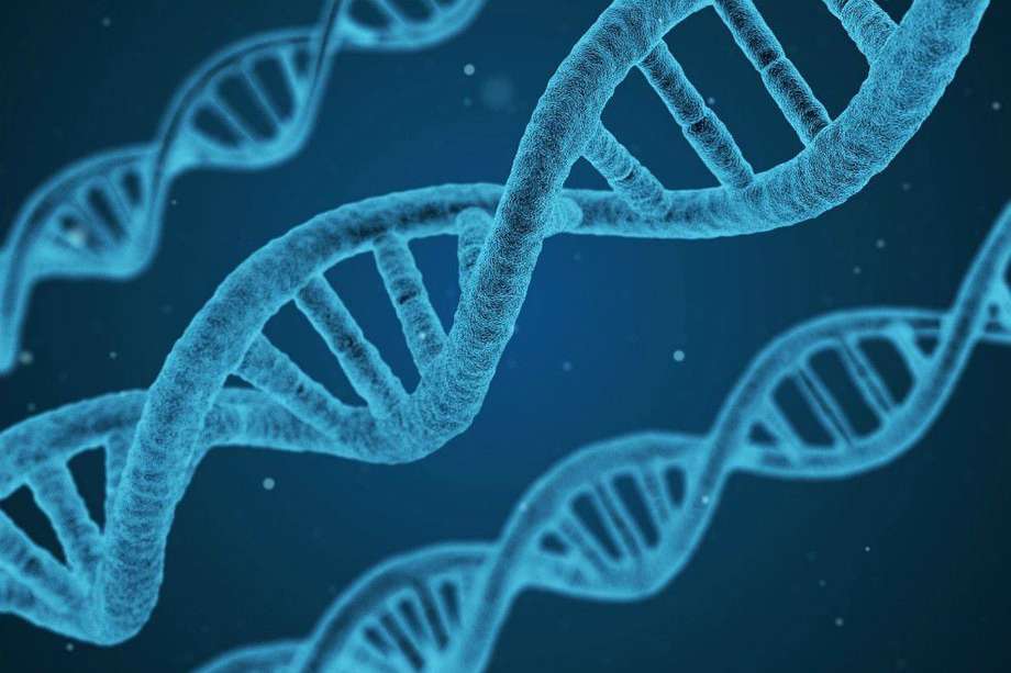 La aprobación de la primera terapia que utiliza la edición genética CRISPR fue, sin duda, una de las noticias del año. 