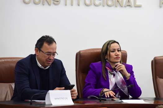 La ministra de salud, Carolina Corcho, y el ministro del Interior, Alfonso Prada, en el primer debate de su reforma en la Comisión Séptima. /Gustavo Torrijos