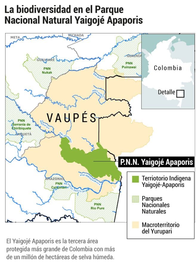 Mapa del Macroterritorio de Yuruparí, con el territorio de yaigojé-Apaporis.