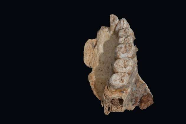 Hallan en Israel los restos más antiguos de humanos modernos 