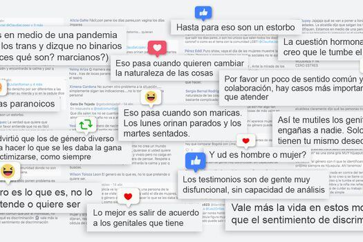 Comentarios en redes sociales recogidos durante la polémica por la medida de Pico y Género./ Imagen de Natalia Ospina.