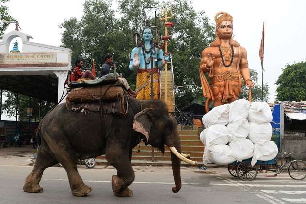 Los últimos elefantes de Nueva Delhi deben salir de las calles