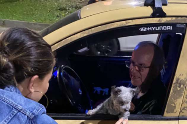 Lola, la perrita ciega que fue rescatada por taxista y ahora recorre Medellín 