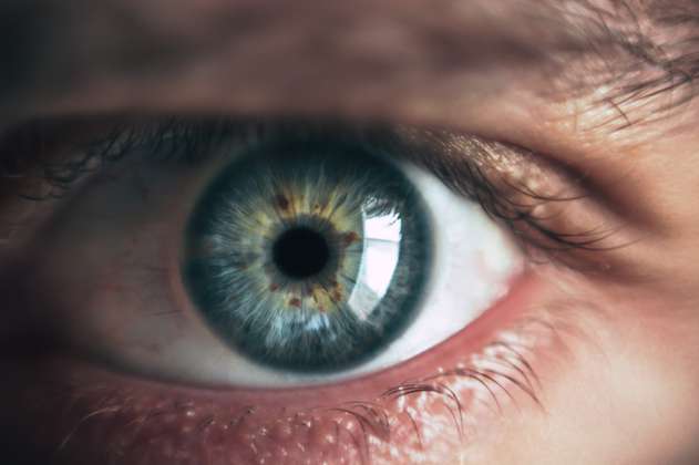 La evolución de ojo humano se la deberíamos a una bacteria que nos prestó un gen
