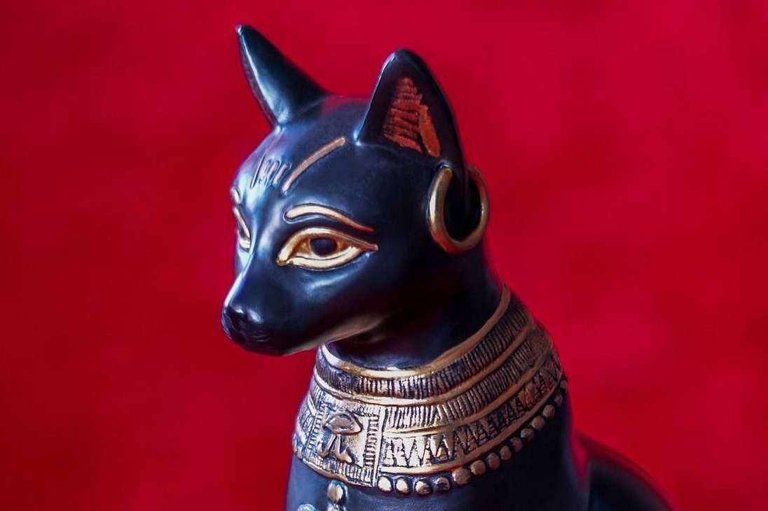 Bastet, una de las diosas adoradas en la sociedad del antiguo Egipto, era retratada comúnmente como una mujer con cabeza de gato negro, por lo que estos felinos se consideraban sagrados.