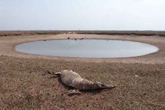 Autoridades apuntan "cinco pecados" posibles como causa de sequía en Casanare     