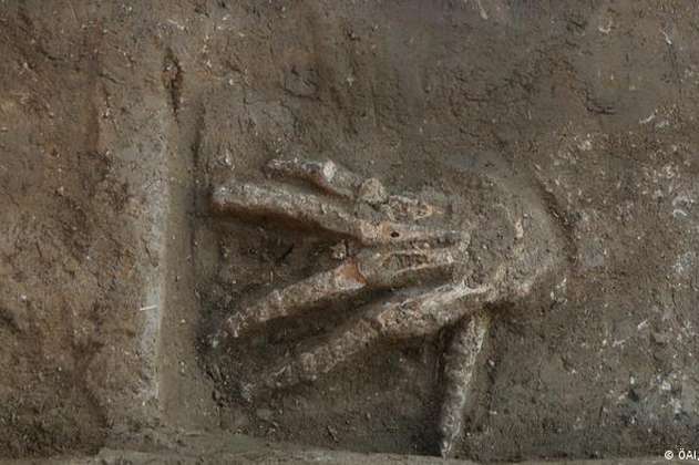 Hallazgo de manos amputadas revela detalles de las prácticas del Antiguo Egipto
