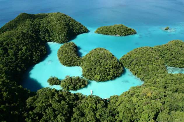 Palaos, el primer país que prohíbe los protectores solares para salvar a sus corales