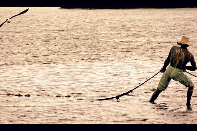 Consejo de Estado falla en favor de pescadores artesanales en Chocó