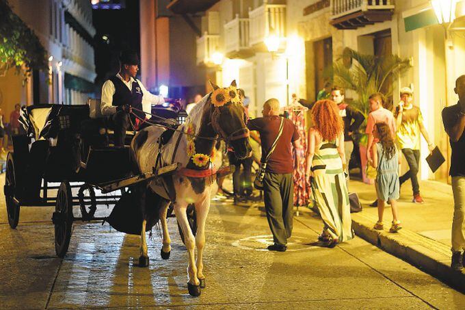 ¿En qué van las medidas para proteger a los caballos en Cartagena?