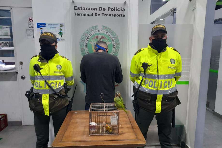 Una de las capturas se hizo en la terminal de transportes, donde una persona llevaba una caja con loros.