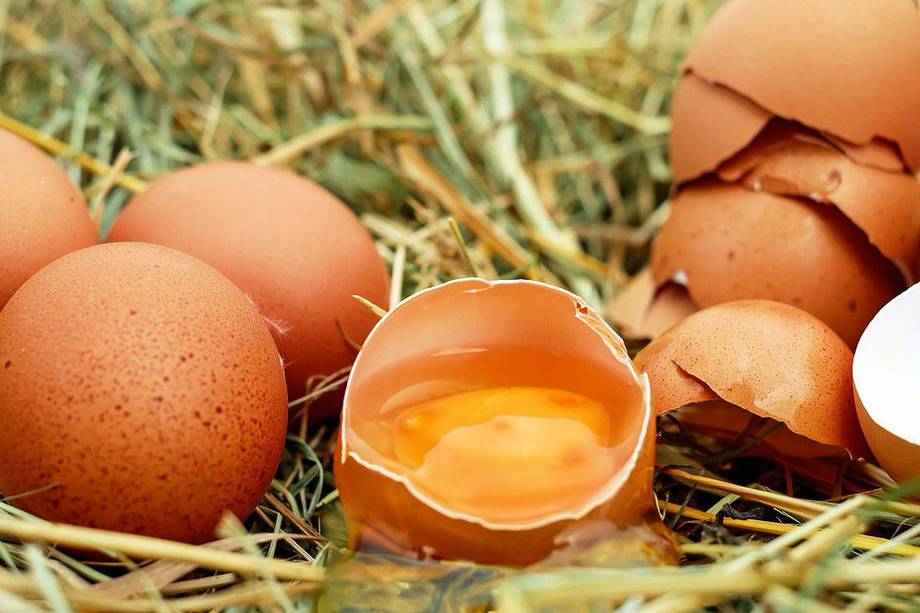 ¿Cuánta proteína tiene el huevo? Descubre por qué debes consumirlo