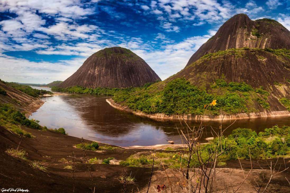Las expediciones científicas se realizaron en 2021, en los ríos Guaviare y Guainía.