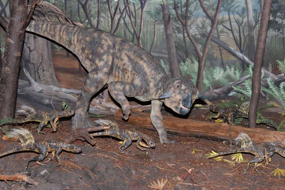Imagen de referencia /Pixabay. Un equipo internacional encontró evidencia de la cicatriz umbilical más antigua jamás conservada que revela que los dinosaurios tenían 'ombligos'.