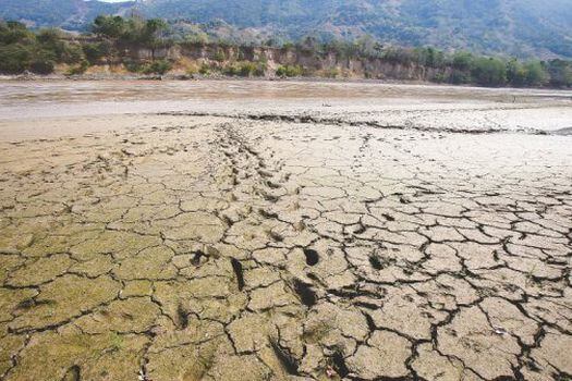 Por la época de sequía, han sido declarados en calamidad pública 46 municipios del país.  / Archivo El Espectador