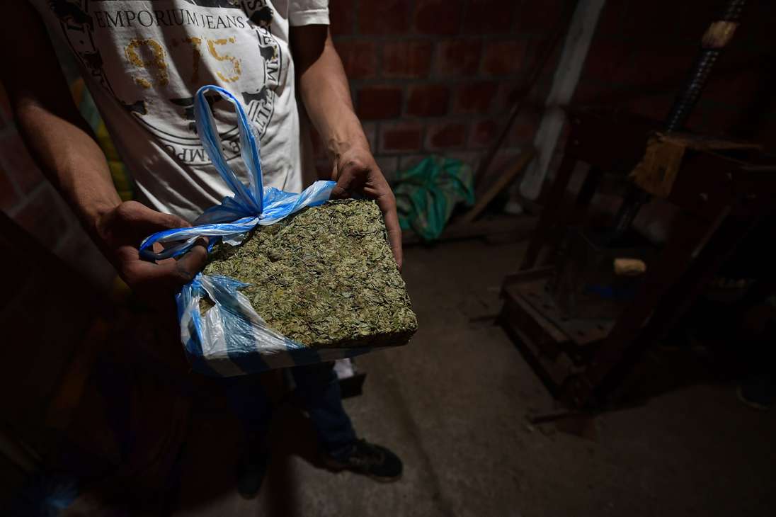 Así se mueve el negocio de la marihuana en el Norte del Cauca