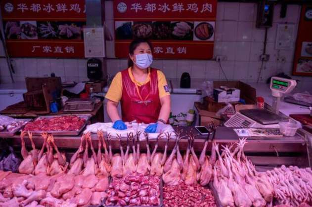 China restringirá el comercio y el sacrificio de aves vivas en los mercados
