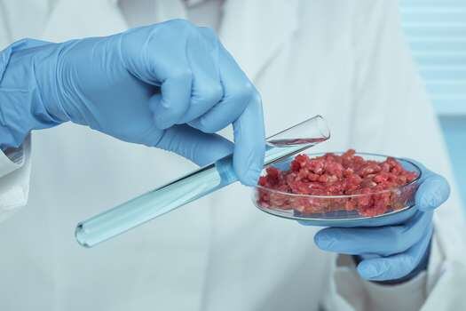 Scientist testing raw meat in laboratory