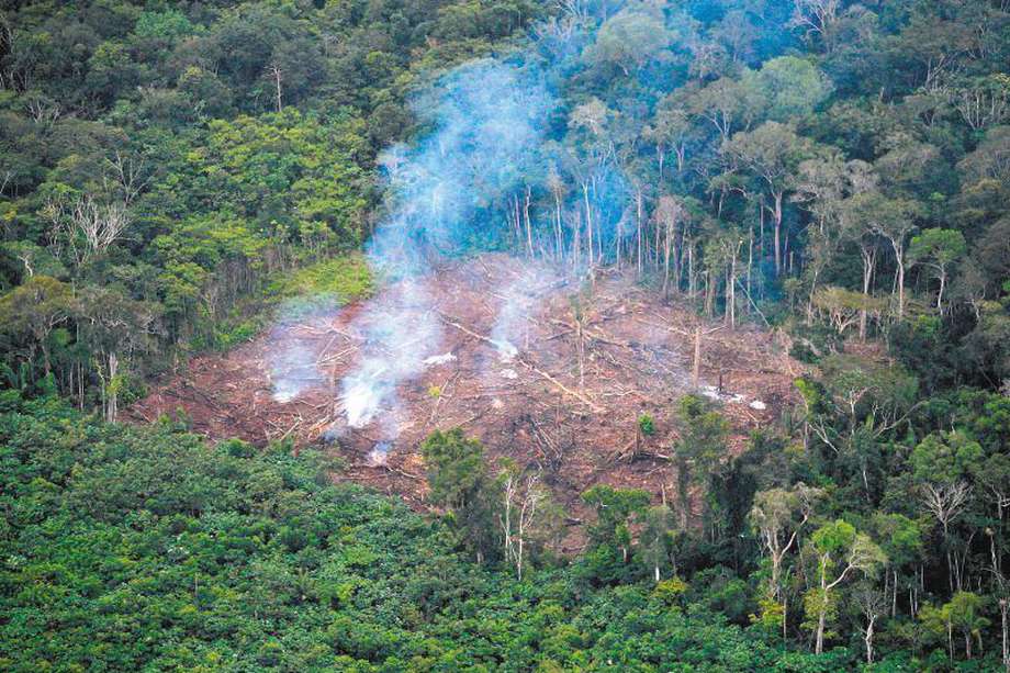 La deforestación se concentró mayoritariamente en seis departamentos. / AFP / Raul ARBOLEDA
