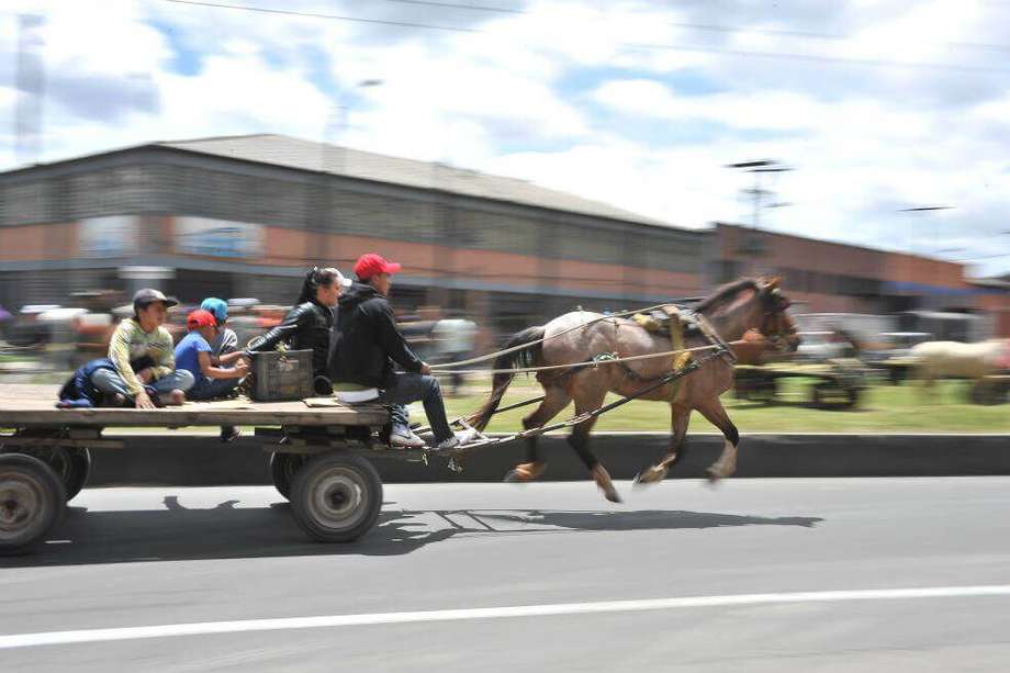 Zorra o vehículo de tracción animal.