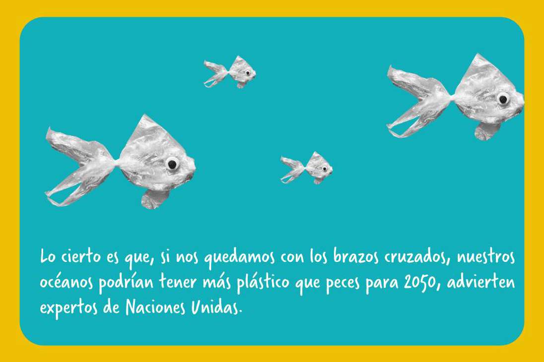¿Más plástico que peces para 2050?