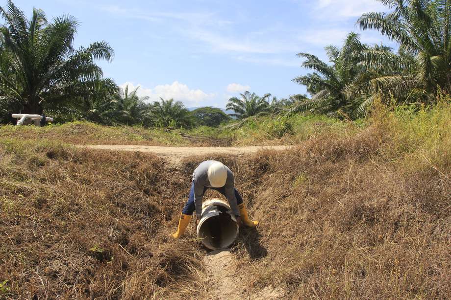 Un palmicultor supervisa uno de los sistemas de riego en un cultivo de palma de aceite, el 7 de junio de 2023, en el departamento de Magdalena. La palma de aceite es el cultivo de mayor extensión en Colombia, con casi 600.000 hectáreas y de él viven casi 7.000 productores, de los cuales 72 % tienen menos de 20 hectáreas. EFE/ Ricardo Maldonado Rozo
