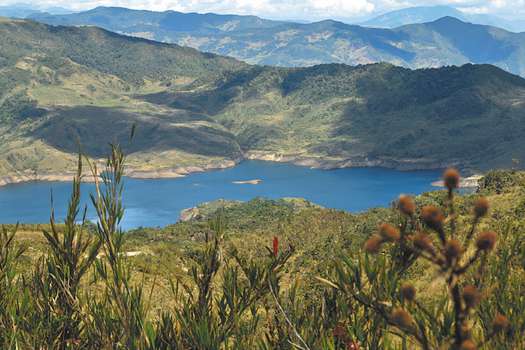 El PNN Chingaza, vital para el ecosistema andino y la mayor despensa de agua de Bogotá, está conformado por 11 municipios: 7 de Cundinamarca y 4 del Meta.  / Óscar Pérez