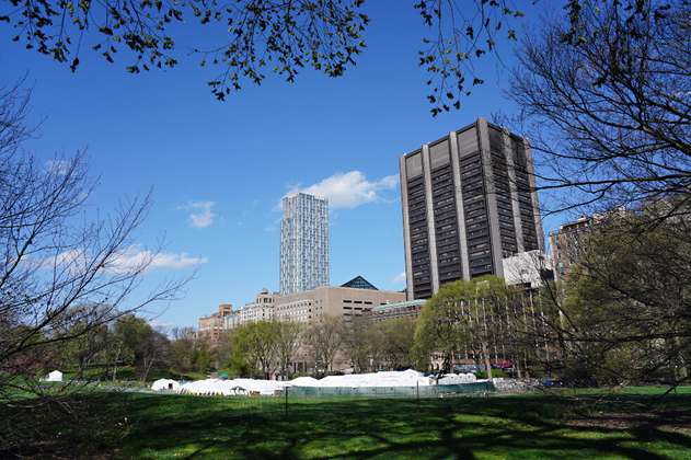 La cuarentena en Nueva York transforma el parque más icónico de la ciudad