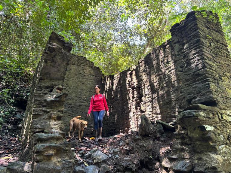 Turismo en el Tolima: tres destinos que esperan a los viajeros tras el terremoto