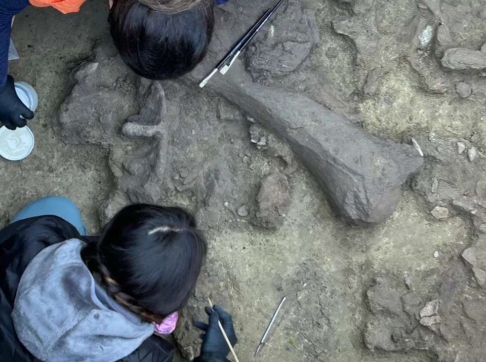 Científicas trabajan durante la campaña de excavación en el antiguo lago Tagua Tagua.