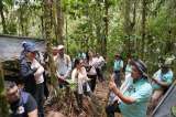 Firmantes de paz en Viotá impulsan turismo como ruta para reconciliarse con el territorio