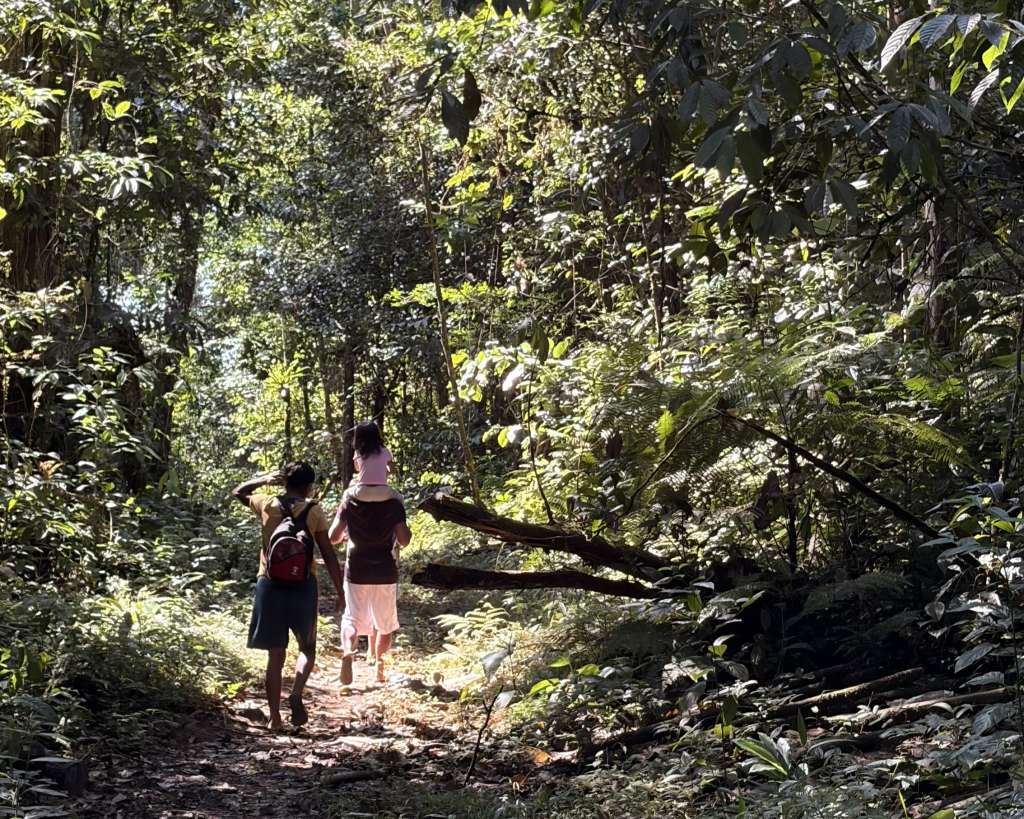 Camino a la escuela en Vaupés.