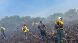 Segundo incendio en una semana en el Parque Isla Salamanca causa alerta