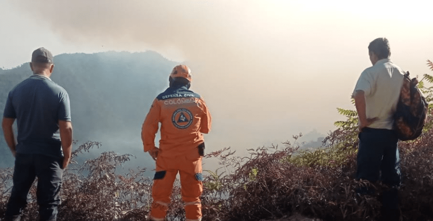 Los organismos de emergencia, como la Defensa Civil, y la comunidad de las zonas afectadas intentan controlar los incendios forestales del departamento de Santander.