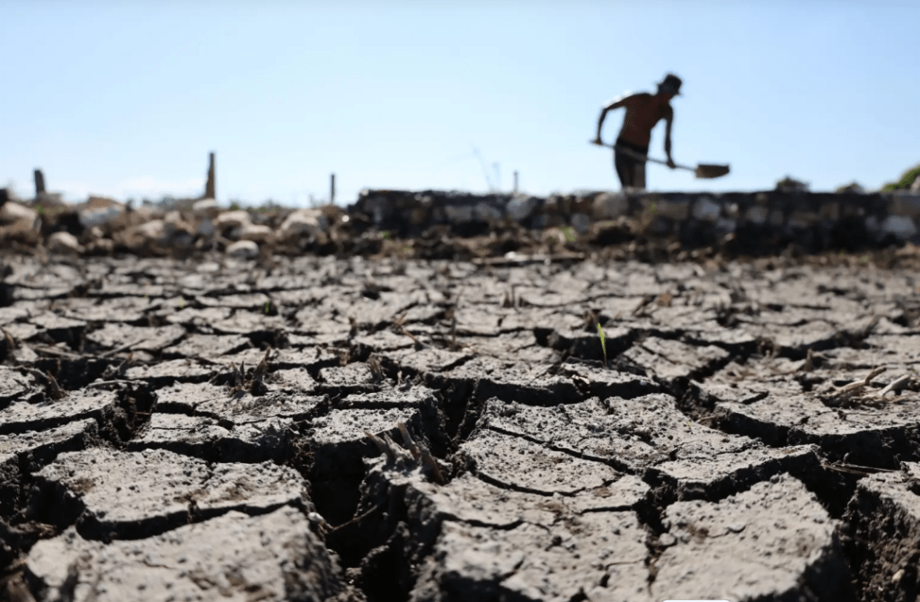 Sequía afecta cultivos y fuentes de agua en zonas rurales de Atlántico
