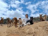 “Es triste ver sus coquitas vacías”: refugio en Ciudad Bolívar pide alimento para sus perros