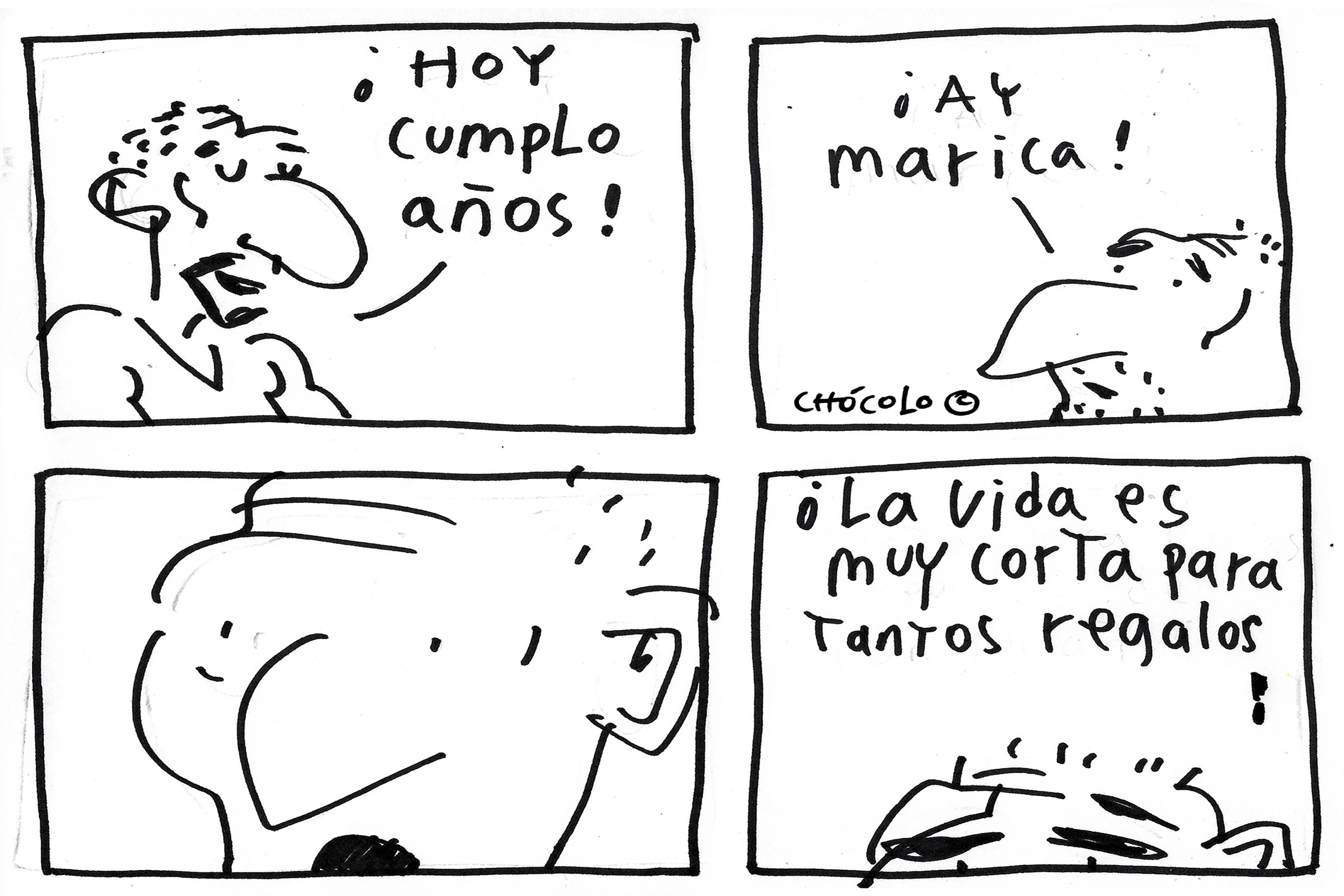 Chócolo