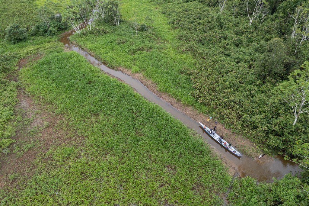 Lo que antes era la laguna donde pescaban, ahora está dominada por pastos y un bosque incipiente.