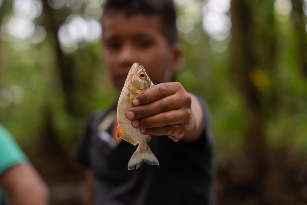 “Solo quedan puras sardinitas”, señalan en la comunidad, refiriéndose a distintos tipos de peces que no superan los 10 centímetros.