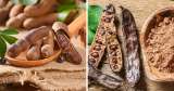 Tamarindo y algarrobo: ¿cuáles son sus diferencias físicas y cómo distinguirlos?